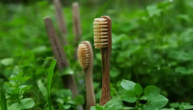 recyclage brosse à dents