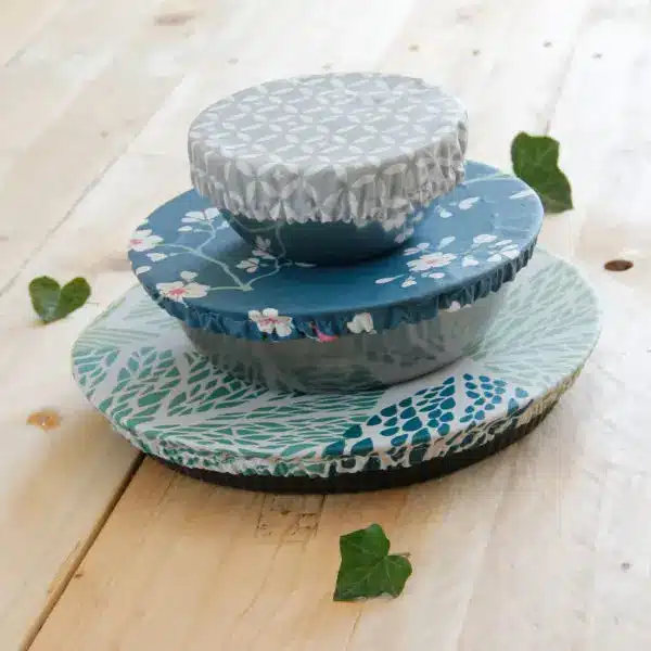 charlotte alimentaire