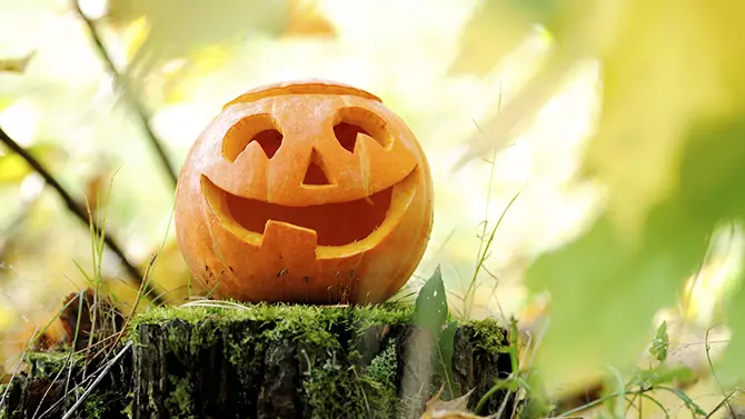 halloween écologique