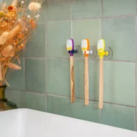 porte brosse a dents clips