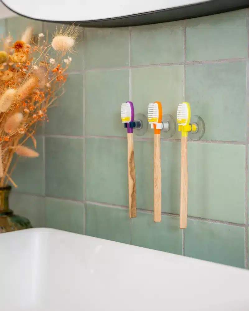 porte brosse a dents clips