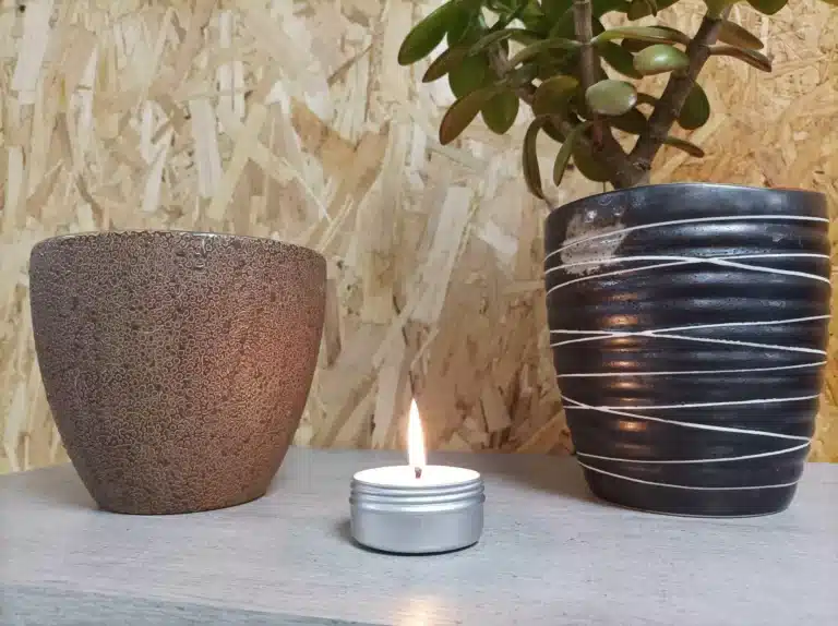 réutiliser contenant dentifrice solide