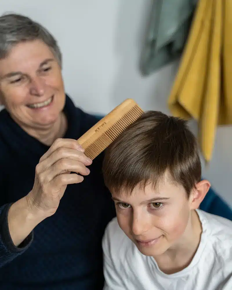 peigne en bois double