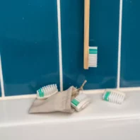 pochette recharge tête brosse à dents