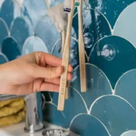 porte-brosse à dents ventouse