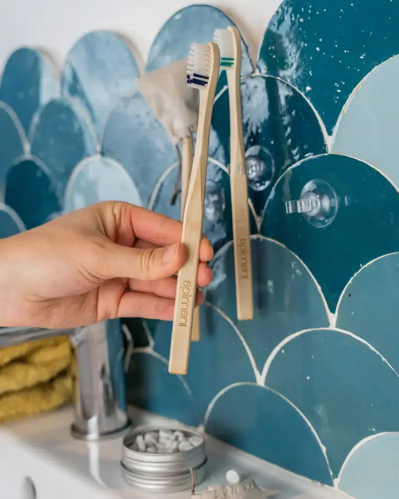 porte-brosse à dents ventouse