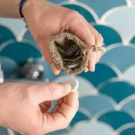 recycler restes de savons solides