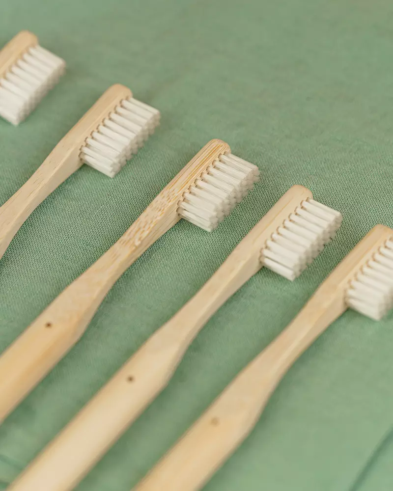 tête brosses bambou