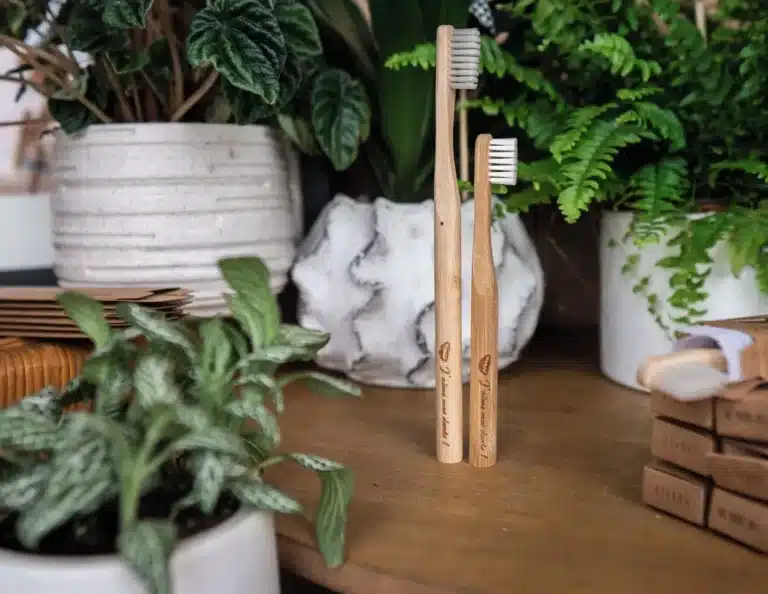 abonnement brosses à dents bambou