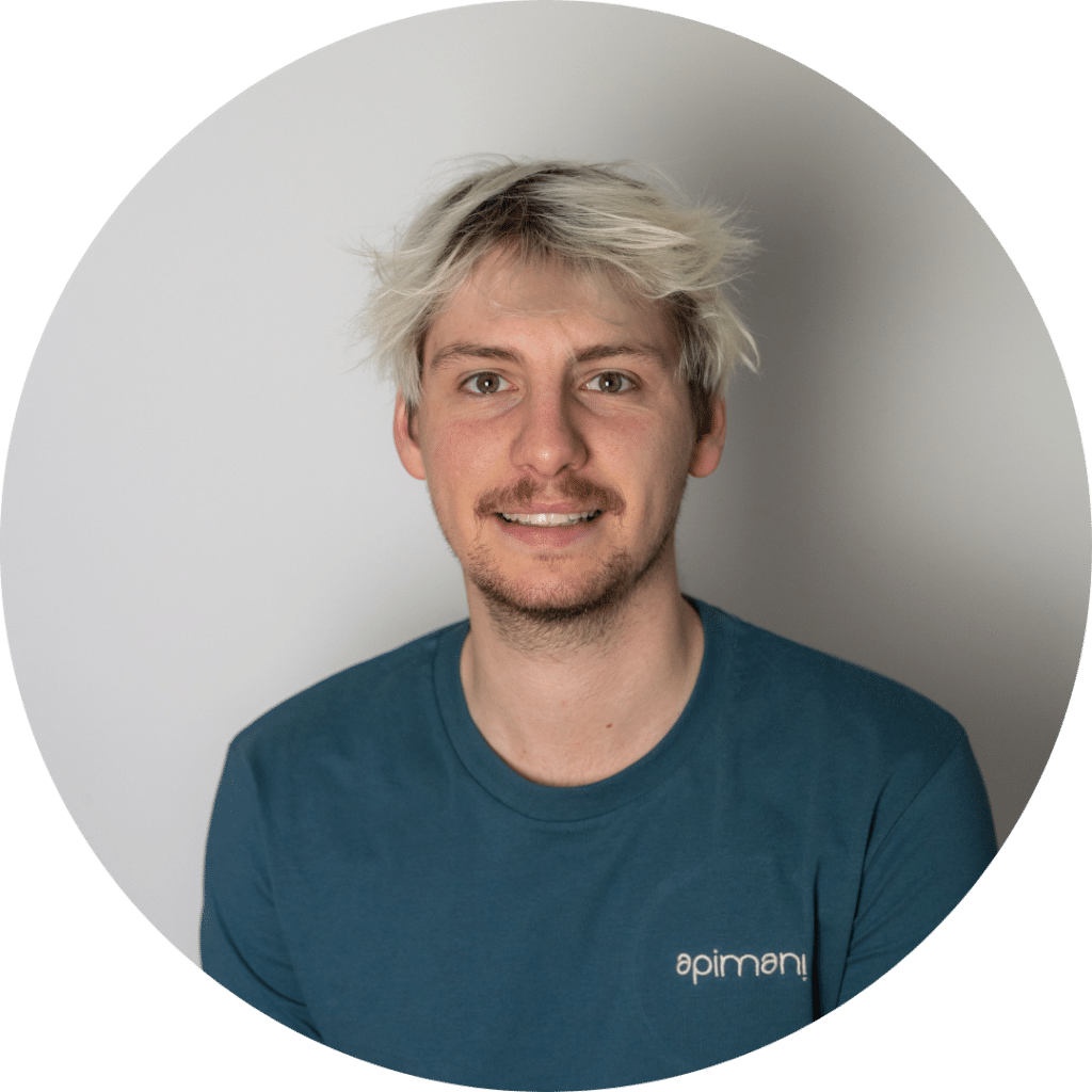 marketing digital apimani