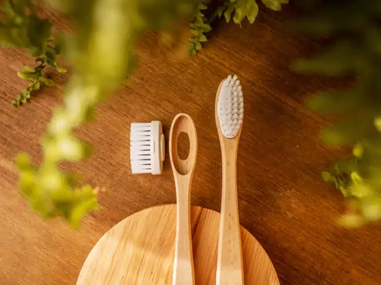 la maline brosse à dents en bois à tête changeable