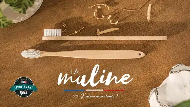 brosse à dents en bois à tête changeable