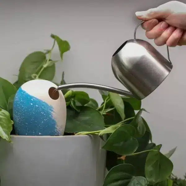 olla fabriquée en france