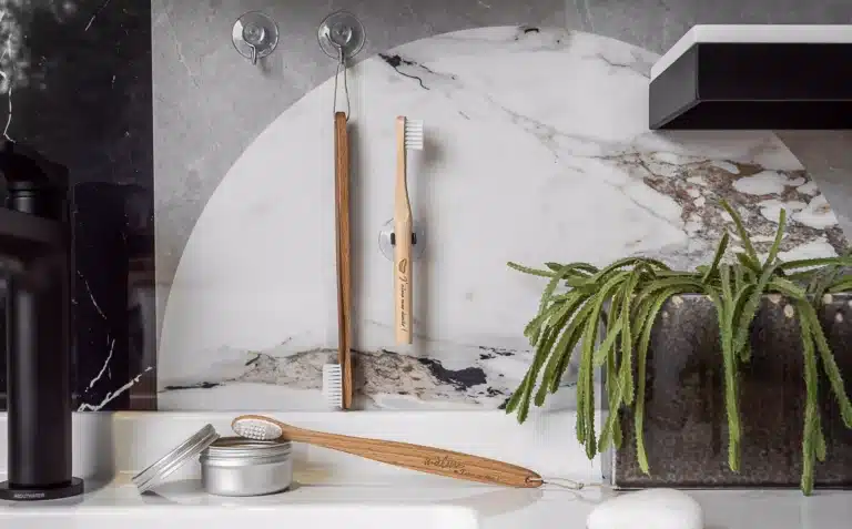 brosses à dents naturelles alternatives aux brosses à dents en plastiques