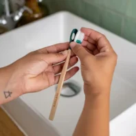 brosse a dents bois a tete amovible