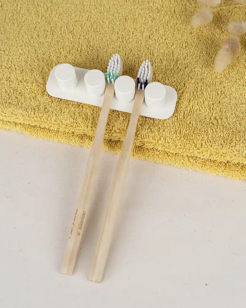 porte-brosses à dents ventouse