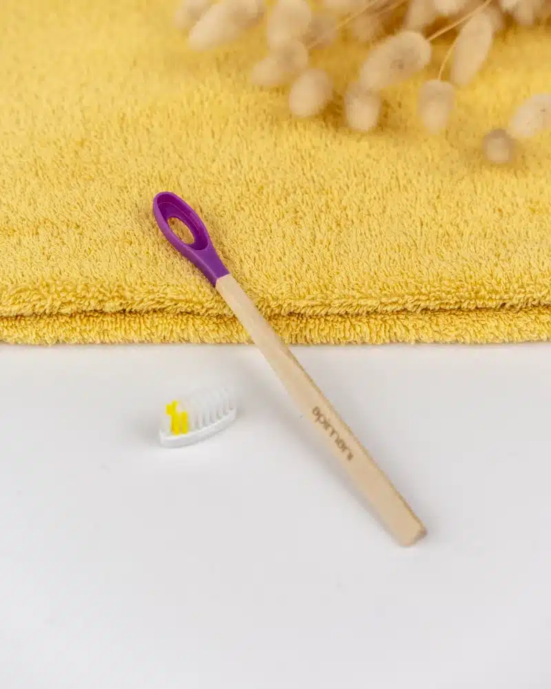 brosse a dents rechargeable enfant violette